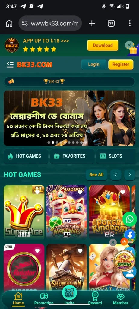 BK33 Home Interface