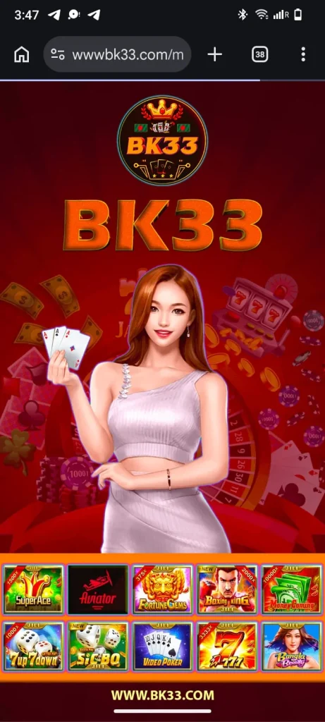 BK33 Interface